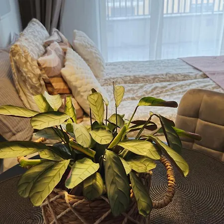 Elite 7 Jezyce- Baranczaka 7