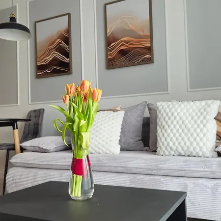 アパート Elite 7 Jezyce- Baranczaka 7 ポズナン