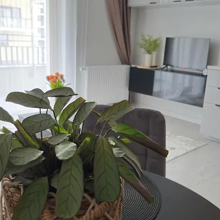 Elite 7 Jezyce- Baranczaka 7 *