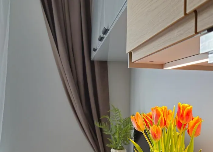 Apartamento Elite 7 Jezyce- Baranczaka 7 Poznań