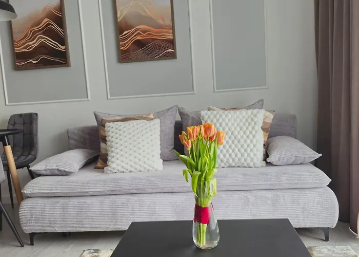 Elite 7 Jezyce- Baranczaka 7 Apartamento Poznań