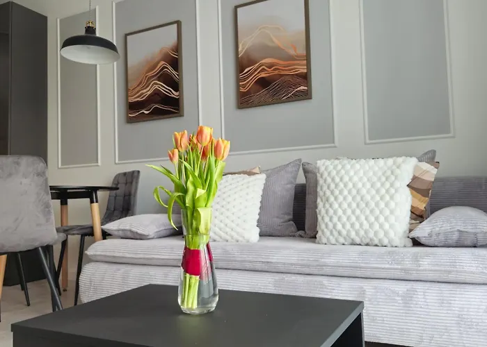 Apartamento Elite 7 Jezyce- Baranczaka 7 Poznań