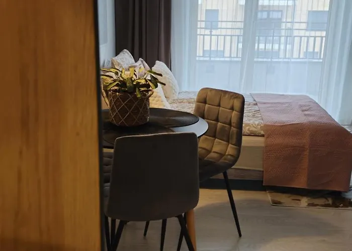 Elite 7 Jezyce- Baranczaka 7 Apartamento Poznań