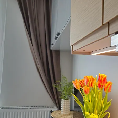 Apartment Elite 7 Jezyce- Baranczaka 7 Poznan