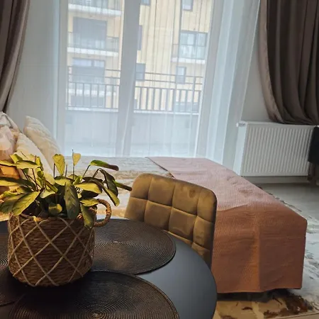 Apartment Elite 7 Jezyce- Baranczaka 7 Poznan