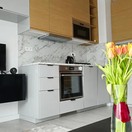 Elite 7 Jezyce- Baranczaka 7 Appartement