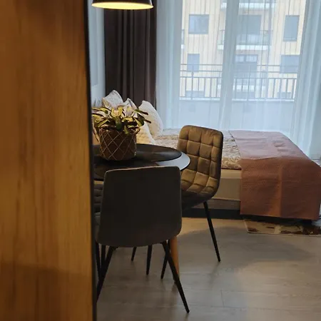 Elite 7 Jezyce- Baranczaka 7 Apartment Poznan