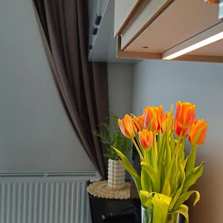 Elite 7 Jezyce- Baranczaka 7 Apartman *