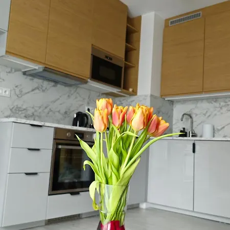 Elite 7 Jezyce- Baranczaka 7 * Poznań