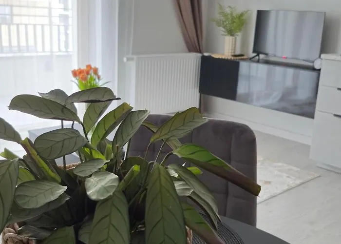 Elite 7 Jezyce- Baranczaka 7 *