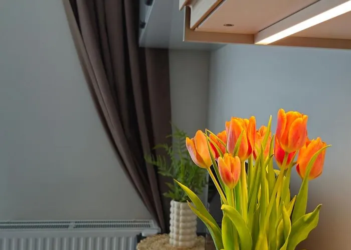 Elite 7 Jezyce- Baranczaka 7 Apartment *